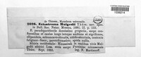 Ectostroma mulgedii image